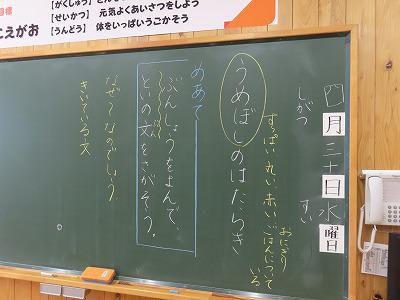 今日の授業の様子