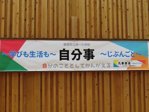 今日の様子