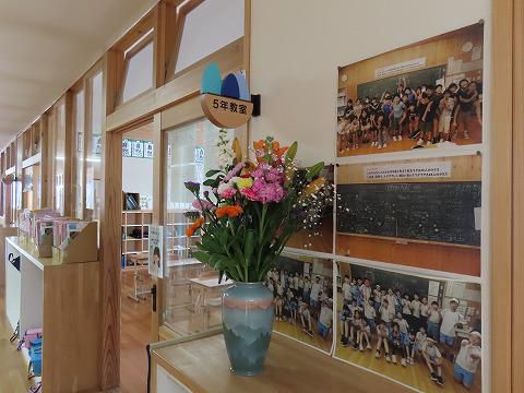 千倉からいただいた花を飾っています