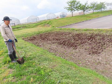田んぼと畑の掘り起こし作業