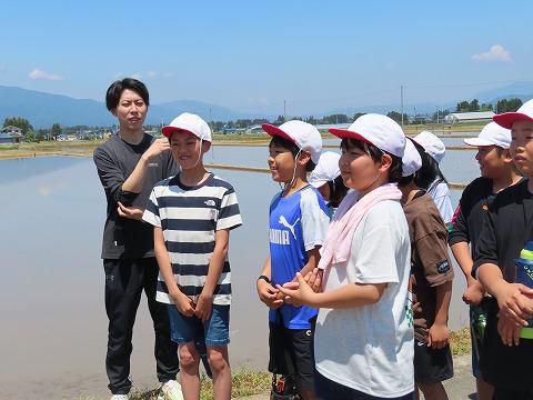 ５年生　田んぼ作業見学