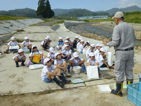 ３年生　総合的な学習　水質調査