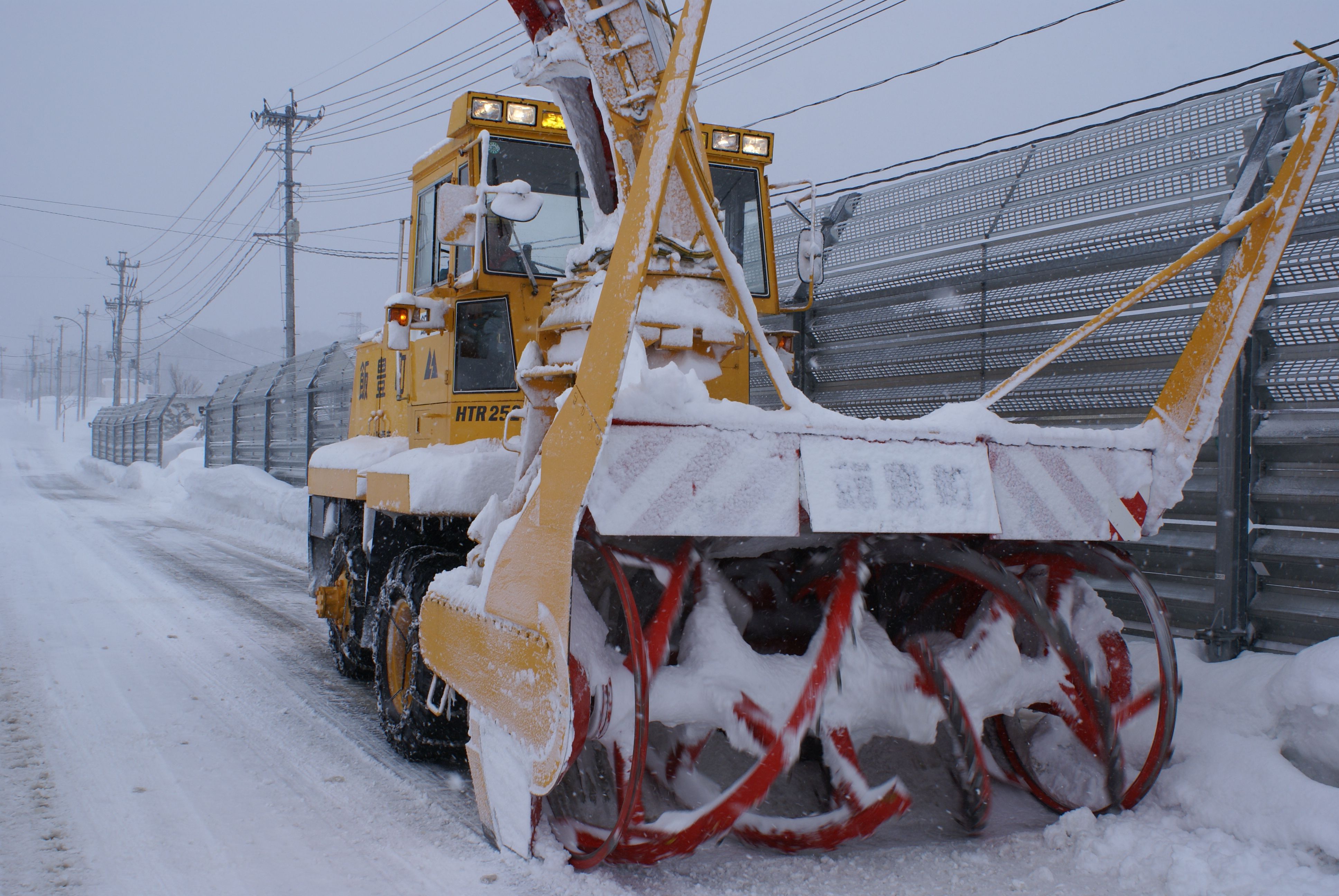 雪。雪。雪。