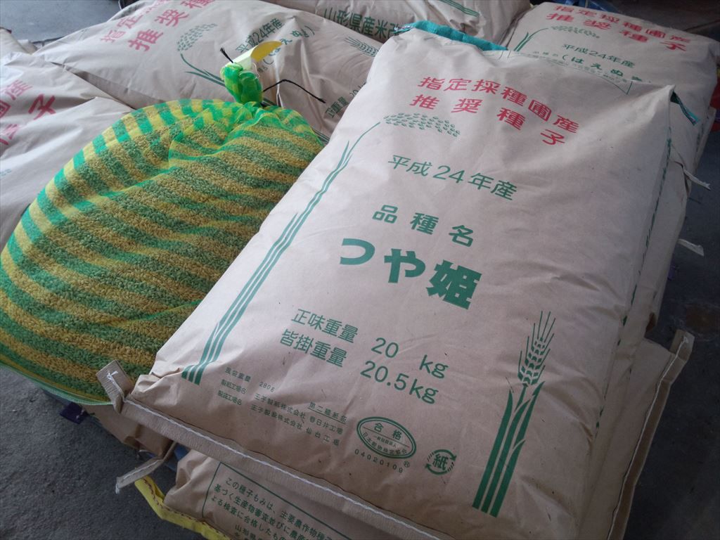 ついに始まりました。