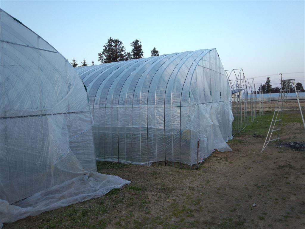 ハウス建て