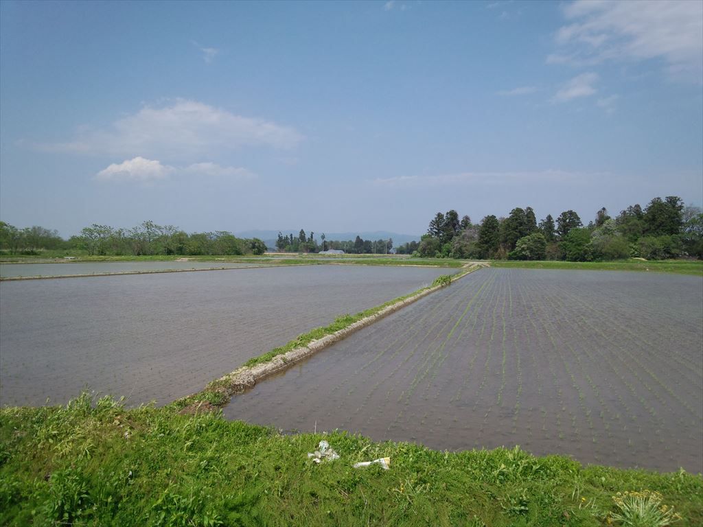 今日も天気良。