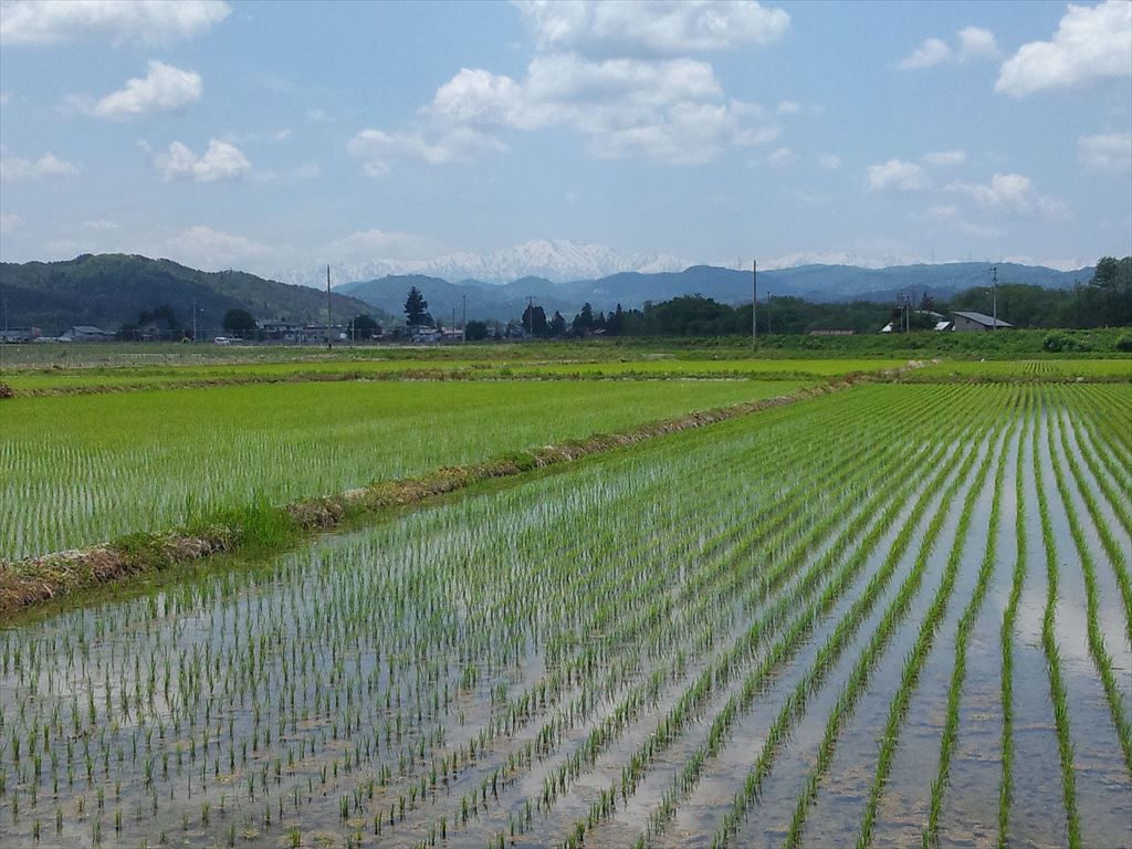 飯豊山