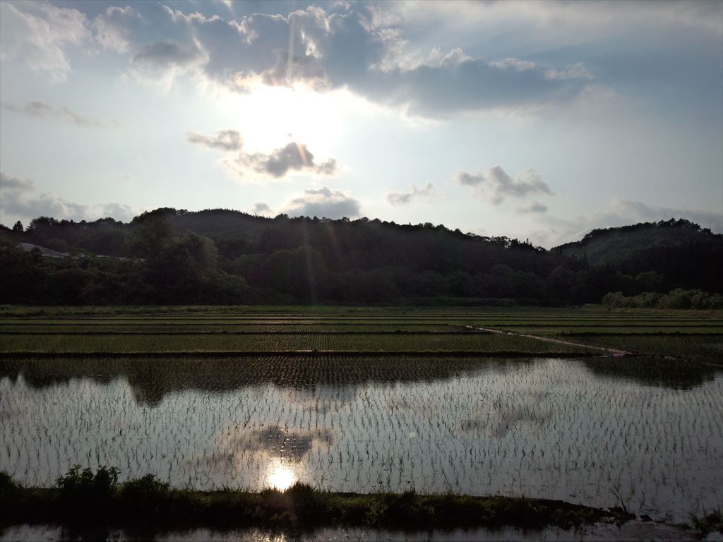 ようやく田植え終了！