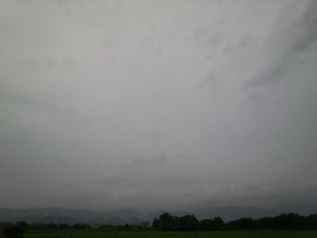 今日は雨ですね