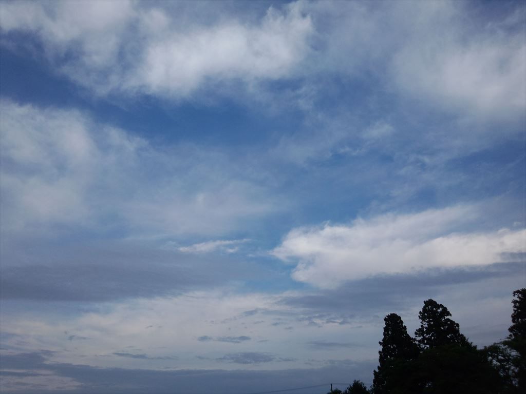 雨降りませんでした。