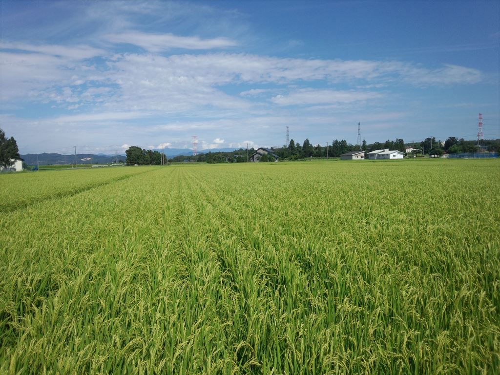 ご無沙汰しております。