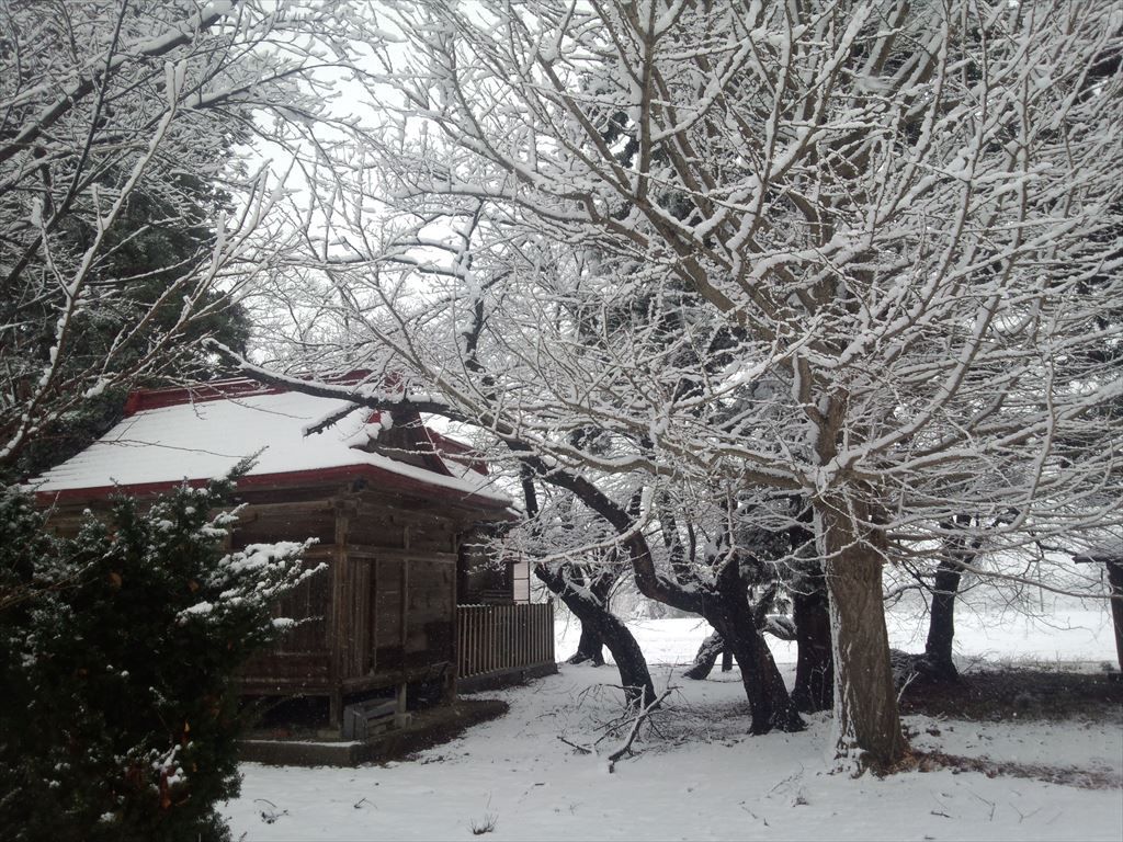 雪