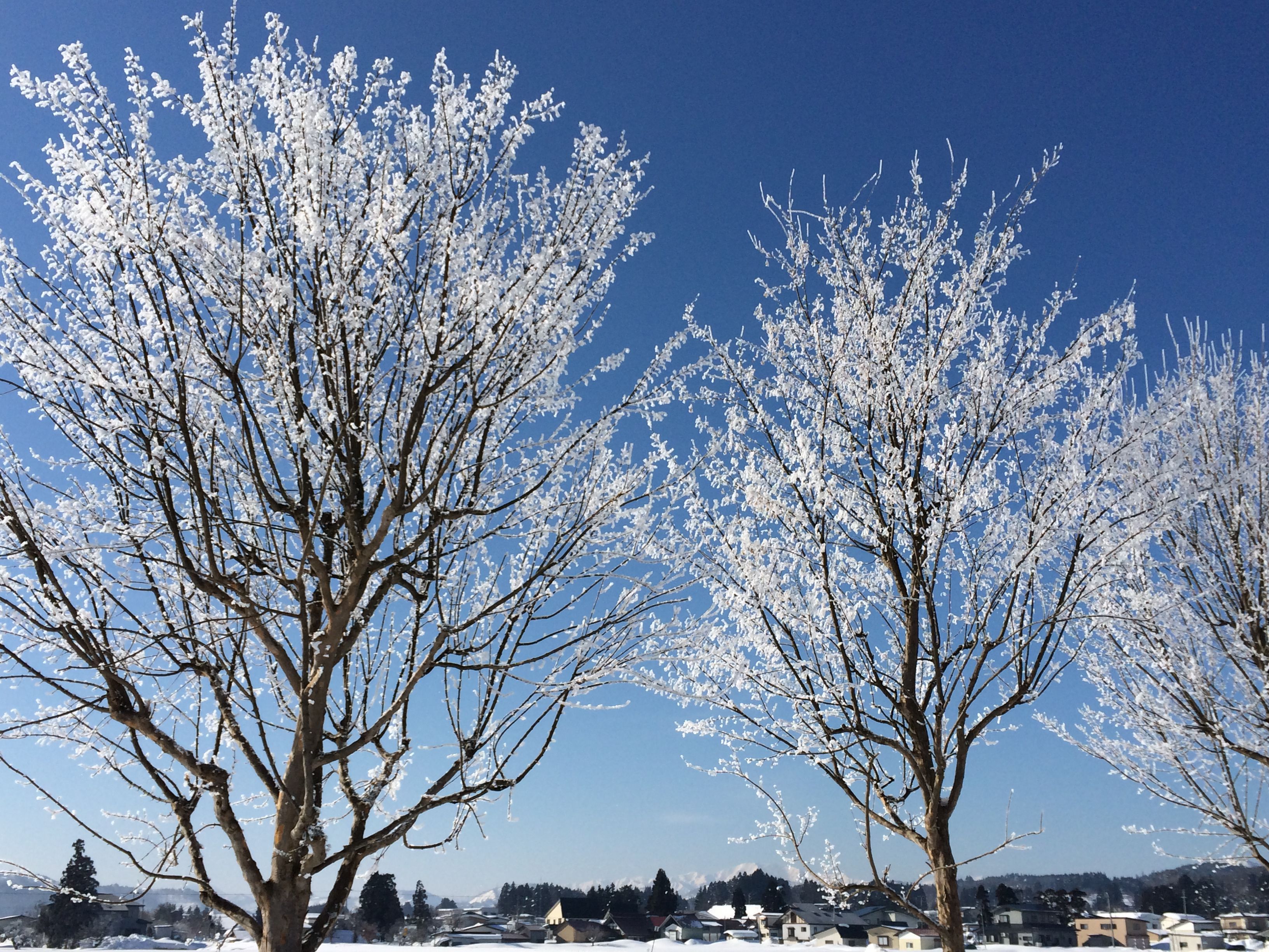 2月に入りました。