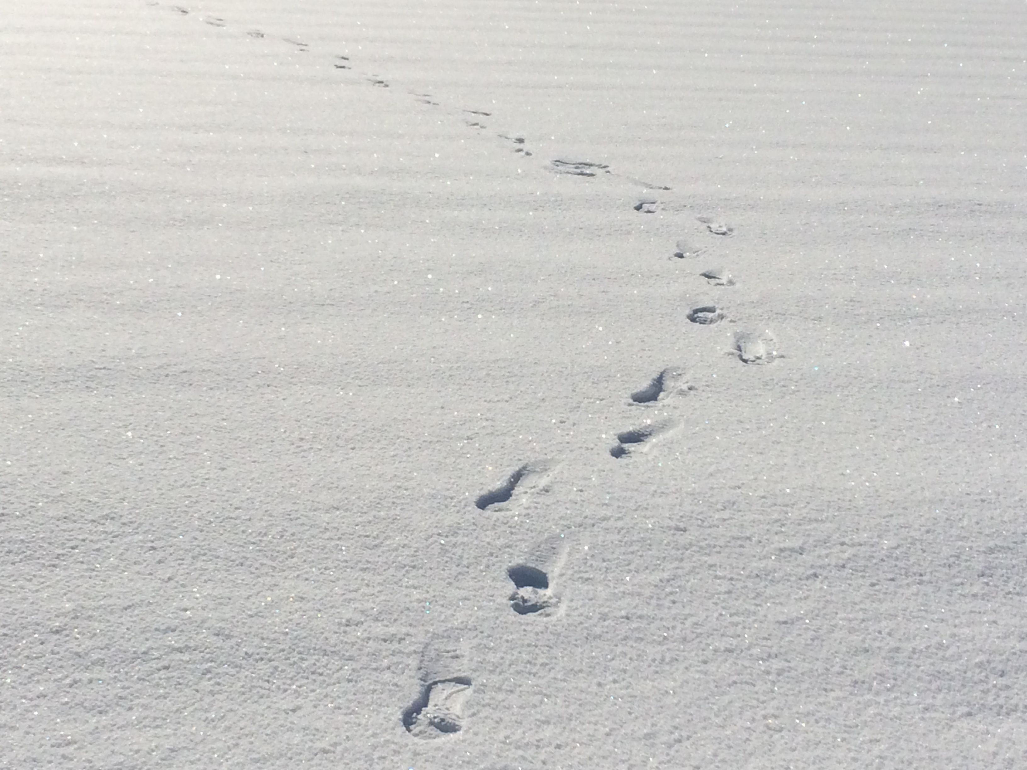 固雪わたり