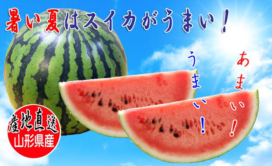 今年の夏は・・・