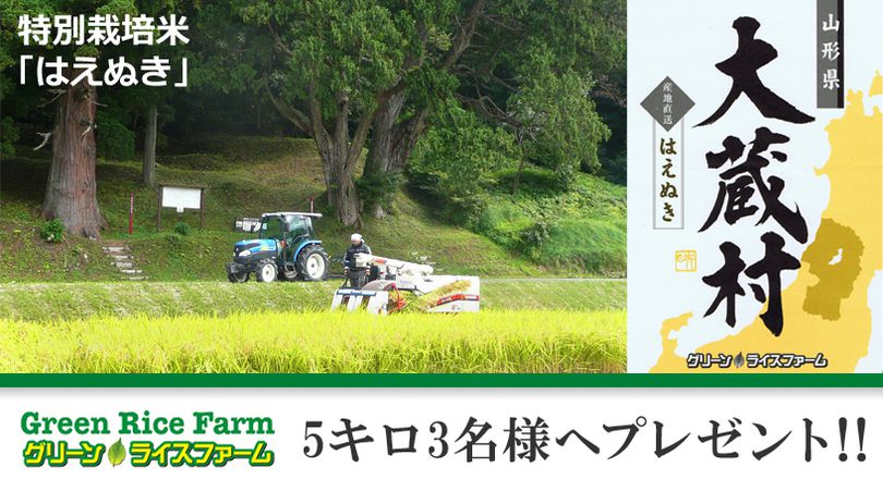 【プレゼント情報】山形の美味しいお米を3名様に！