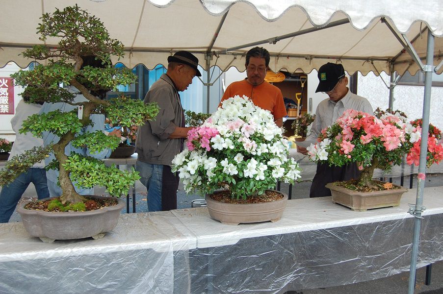 東部地区　さつき展開催