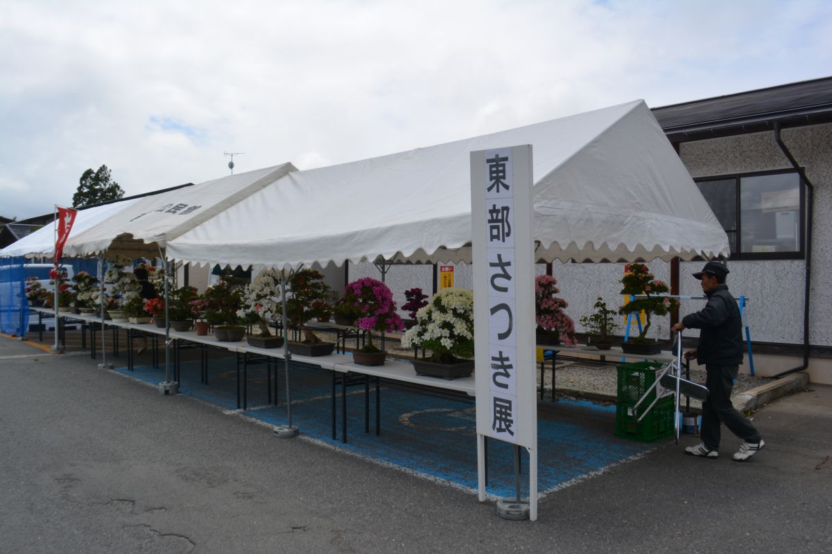 東部地区さつき展開催