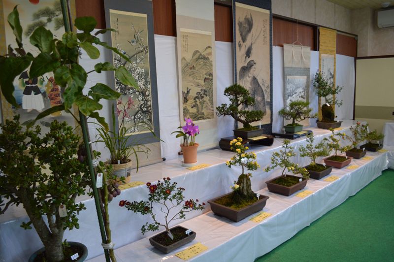 半年がかりの作品が間もなくお披露目