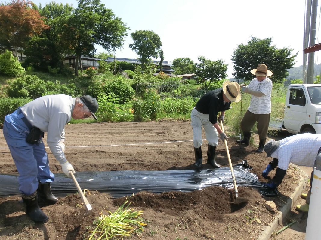 ふるさと学園畑作業