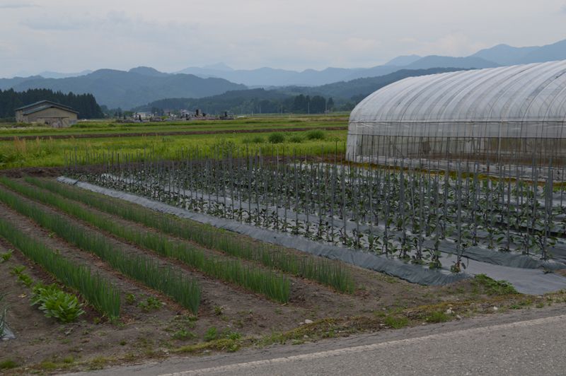 個人で郷土の味を商品に