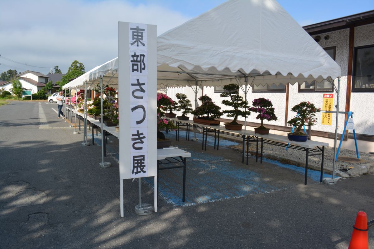 東部地区公民館で『さつき展』を開催しました。