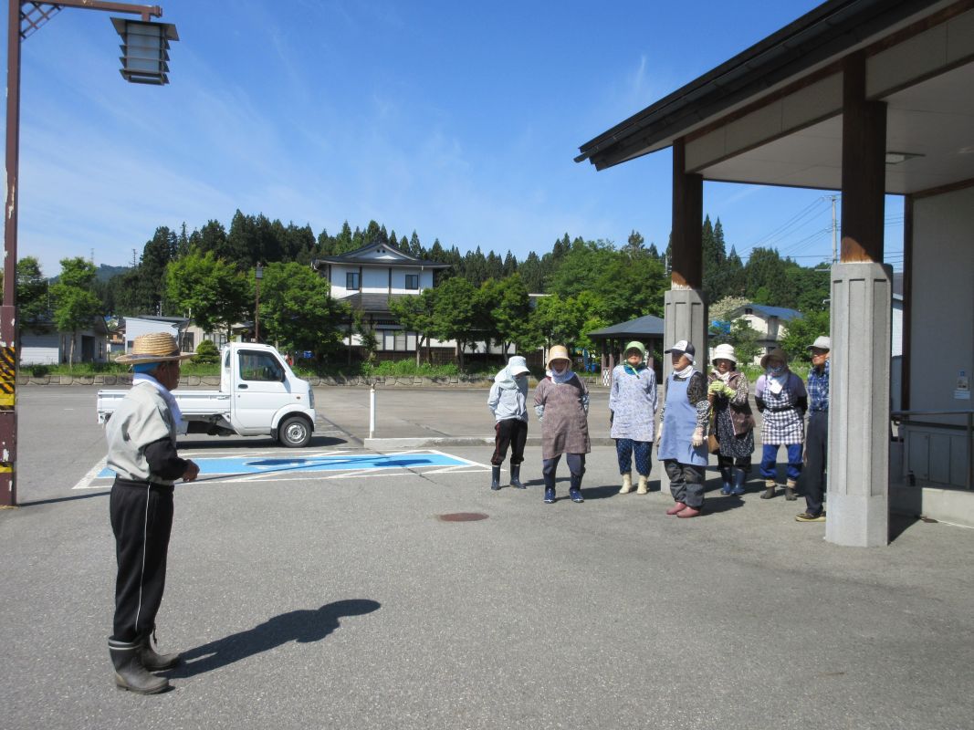 寿クラブの皆さんに花壇の草取りを行っていただきました。