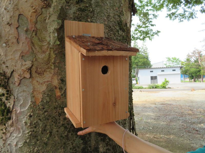 鳥の巣箱をつくろうよ。