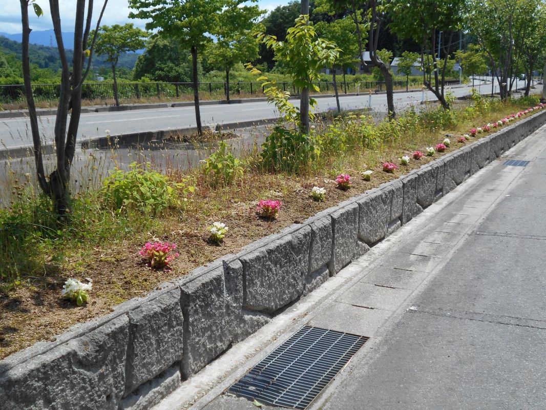 公民館が花でいっぱいになりました。（西部地区公民館）