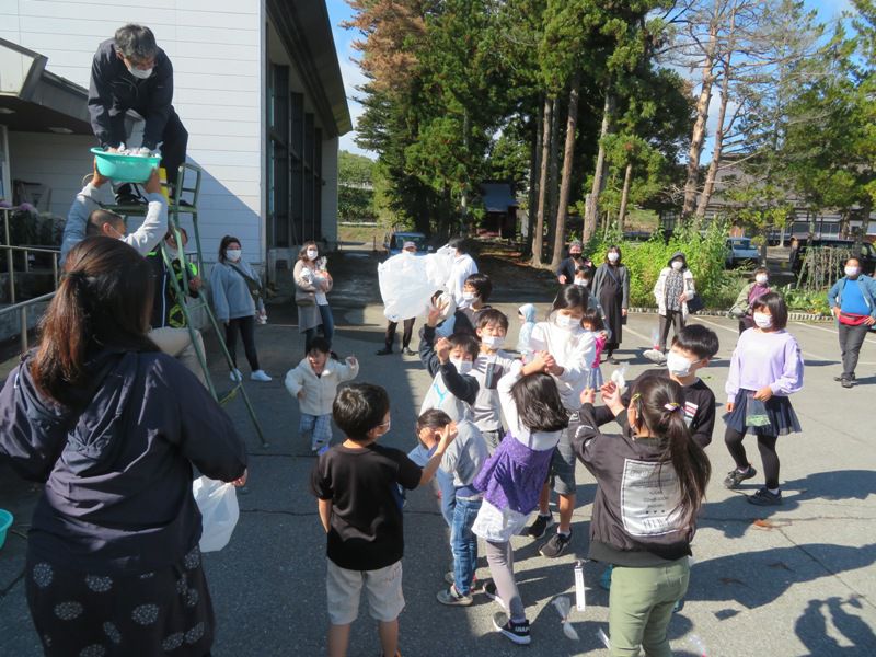しろつばき展示会開催