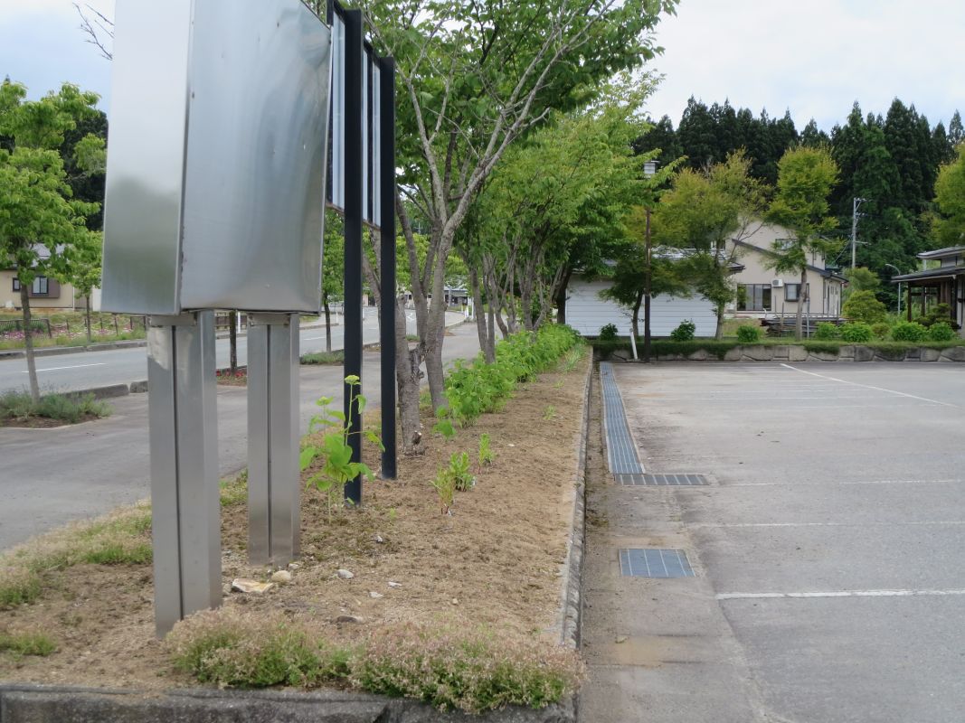 寿クラブ花壇の草むしり（西部地区公民館）