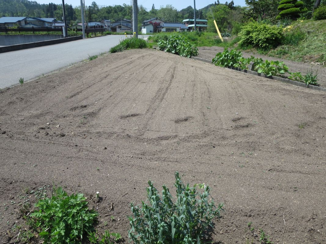 ふるさと学園の役員で畑作業