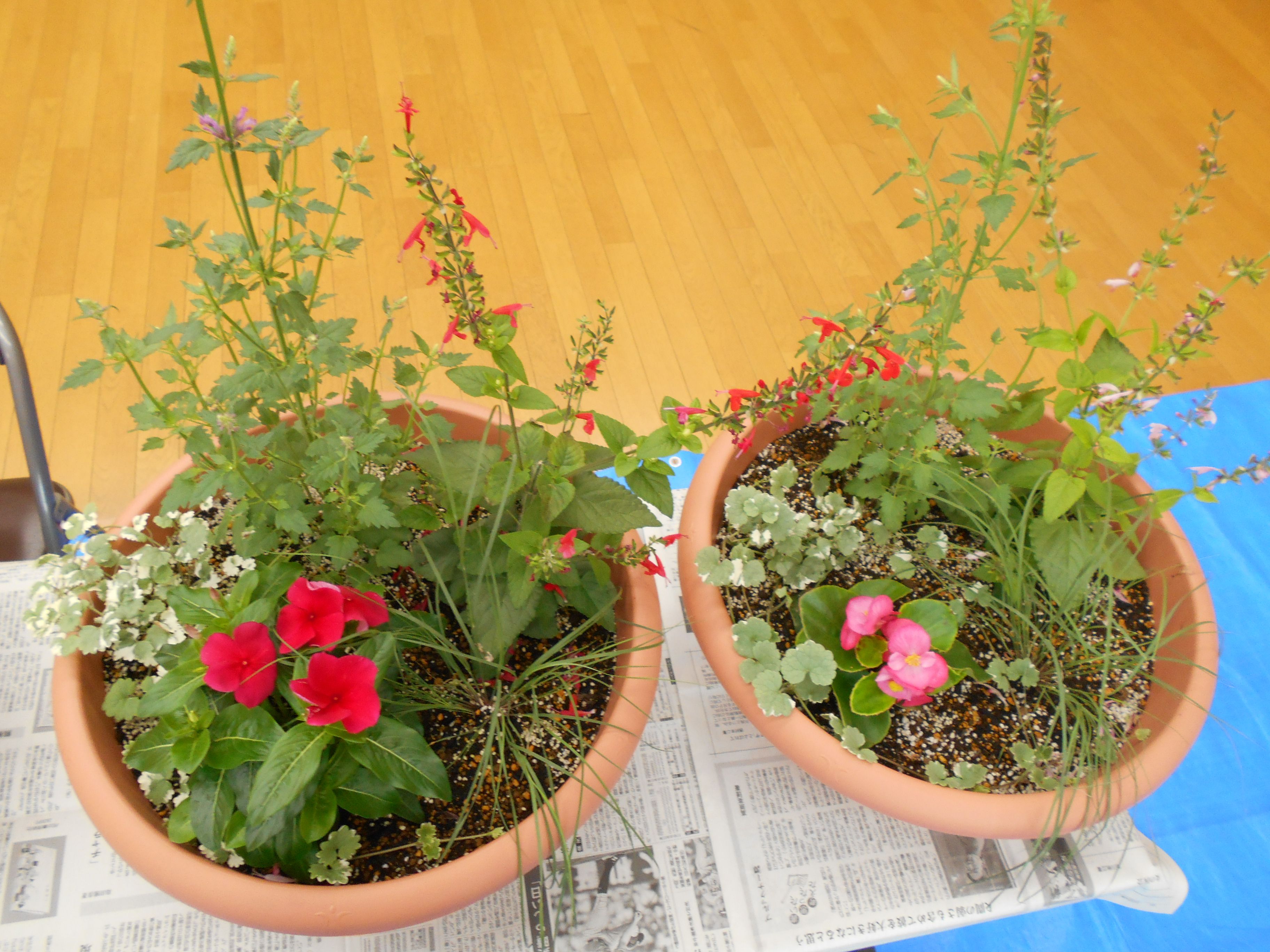 花の寄せ植え教室・さわやかクラブ（西部地区公民館）