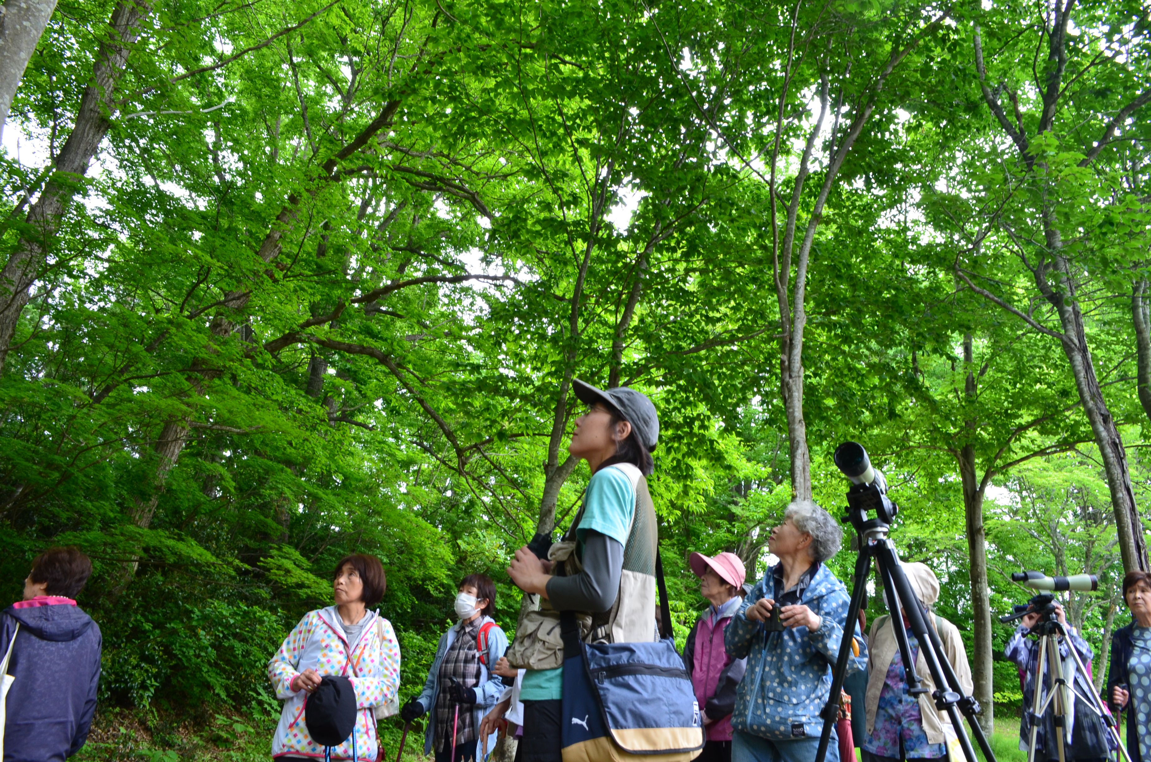 野鳥観察とトレッキング（中部地区婦人学級）