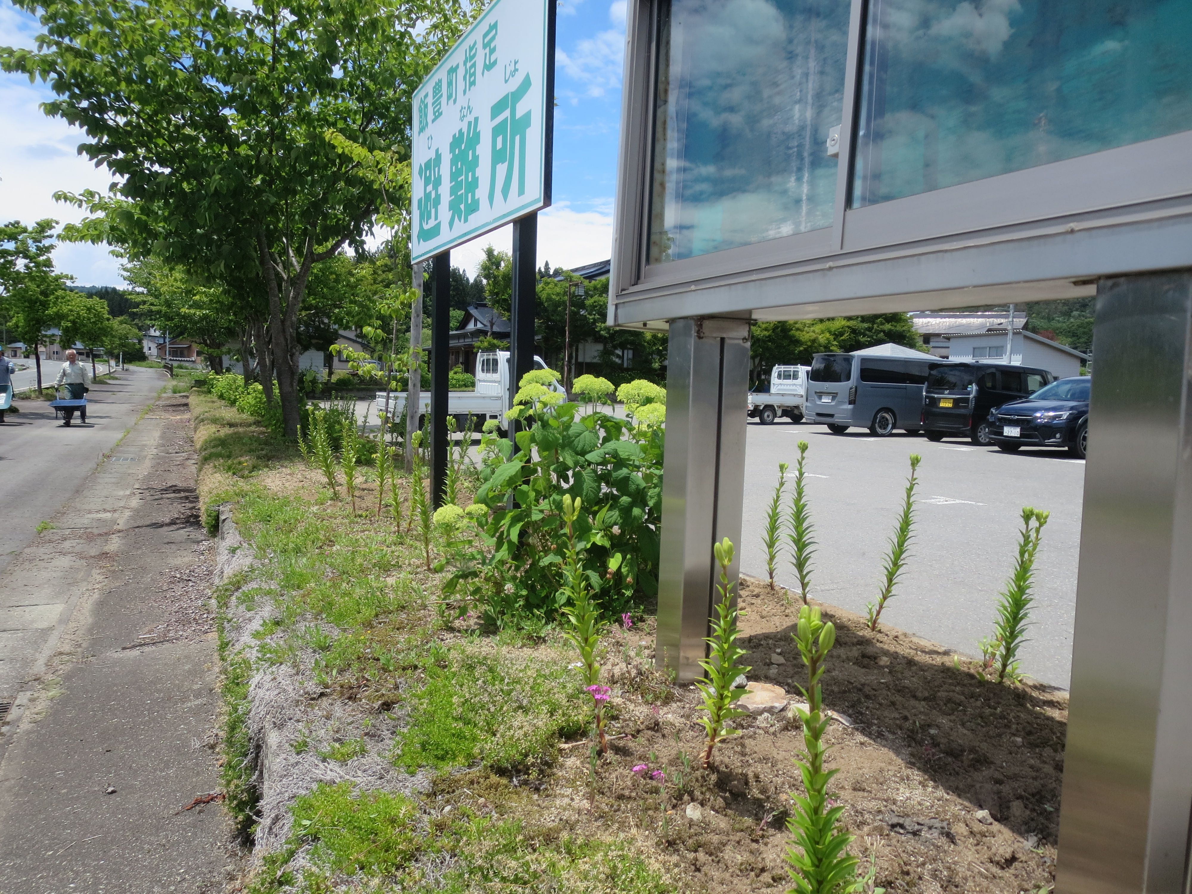 手ノ子町分館寿クラブのみなさんが花壇の手入れをしてくださいました（西部）