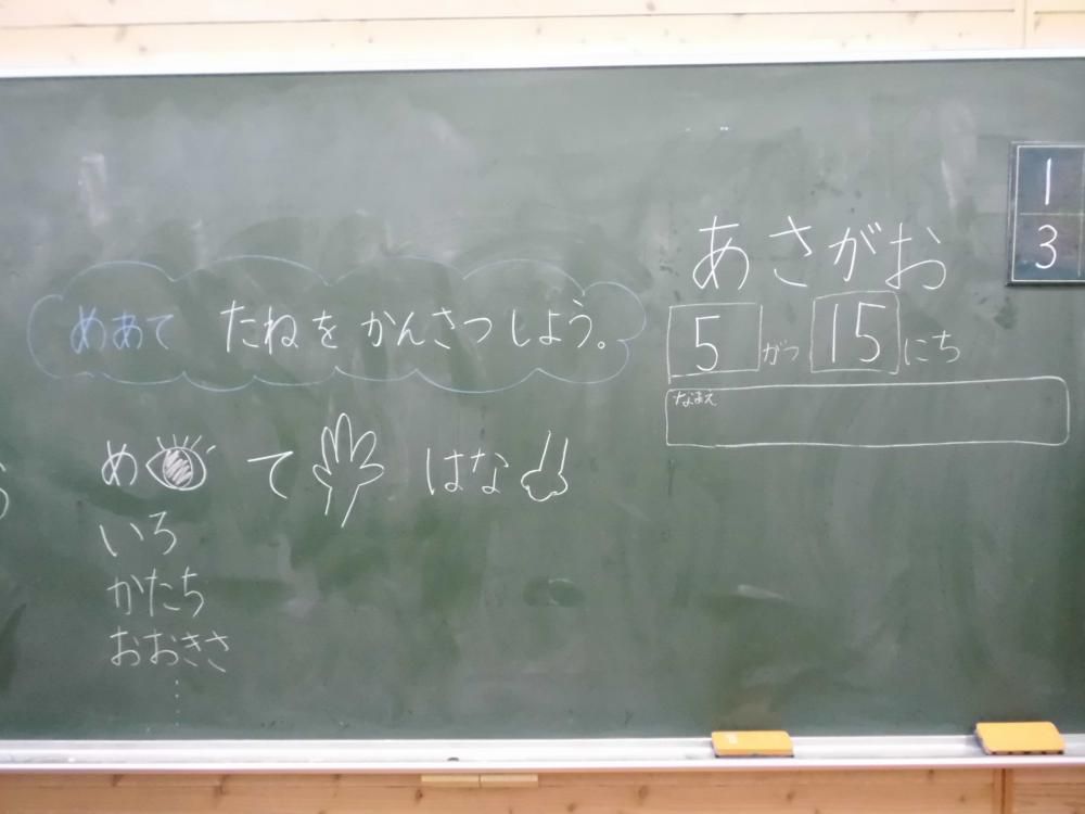 きれいなはながさいてほしいな