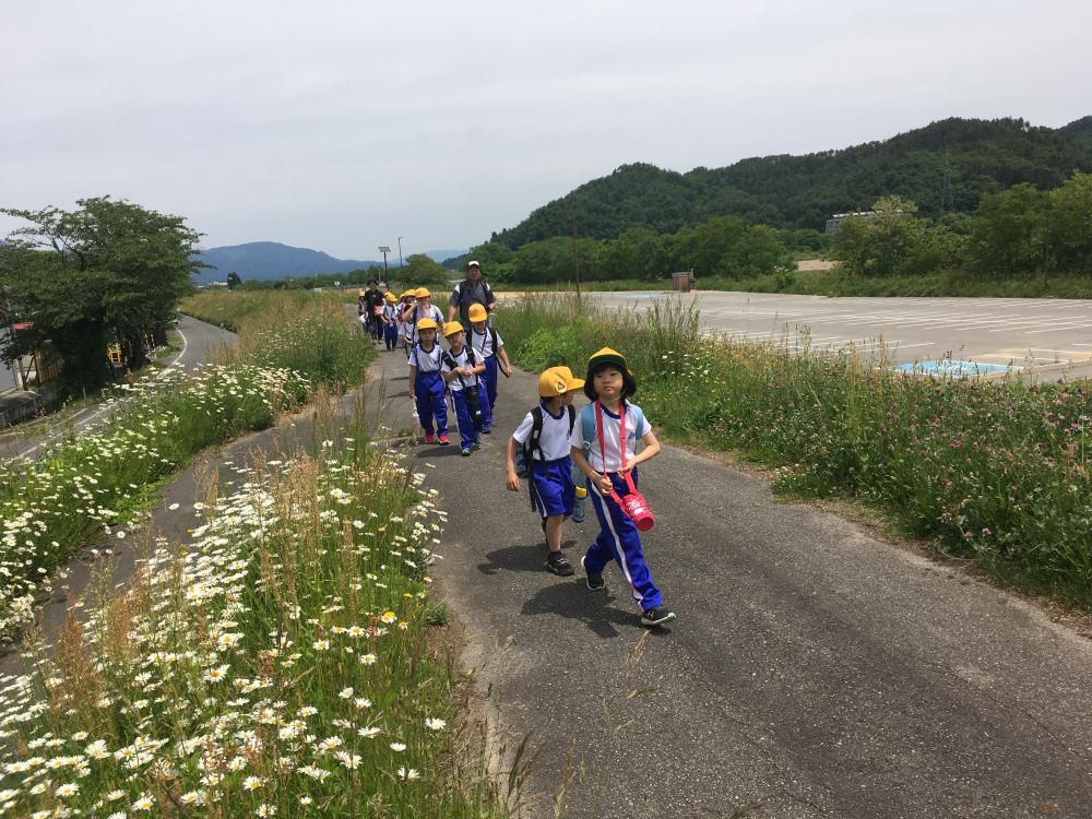 遠足情報