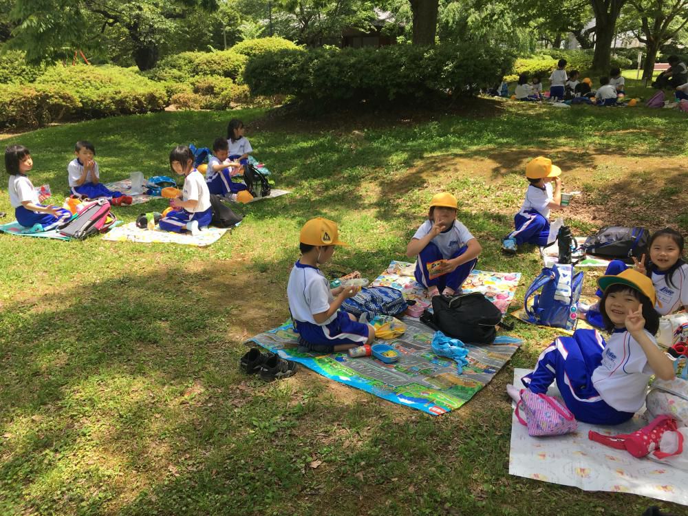 遠足情報