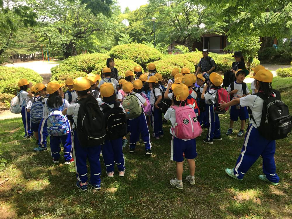 遠足情報