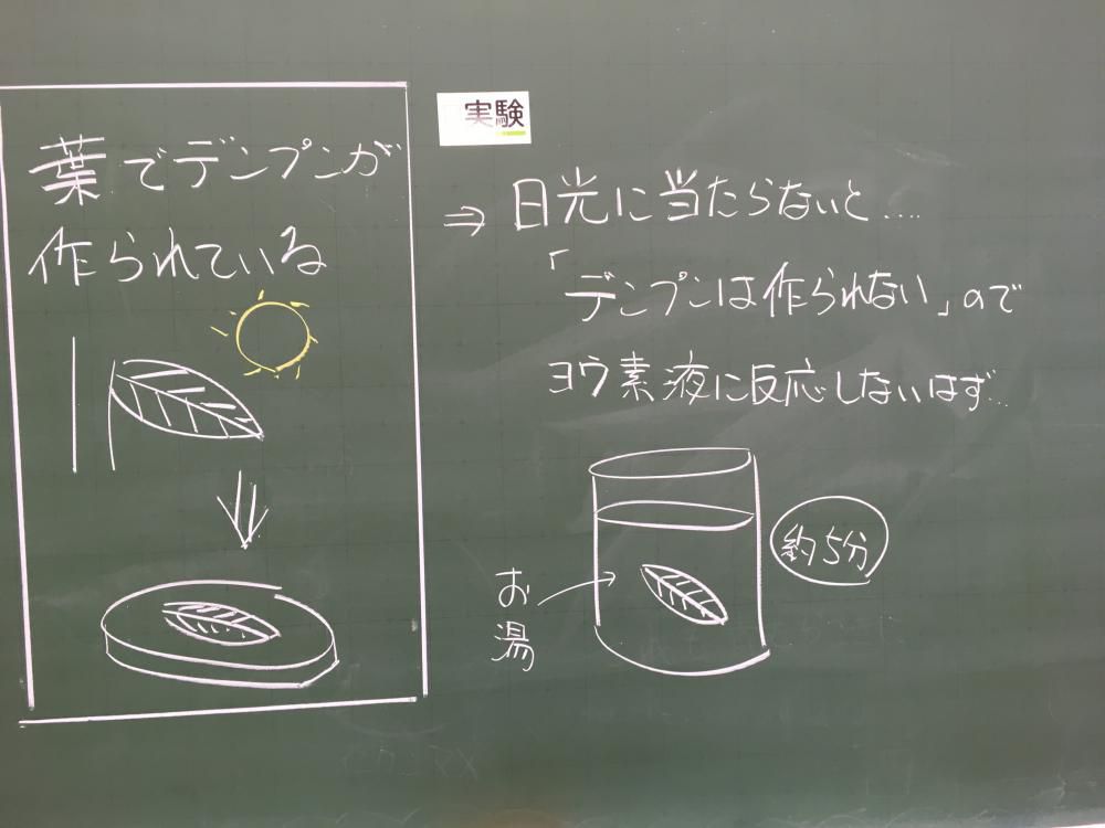 予想は正しいかな？