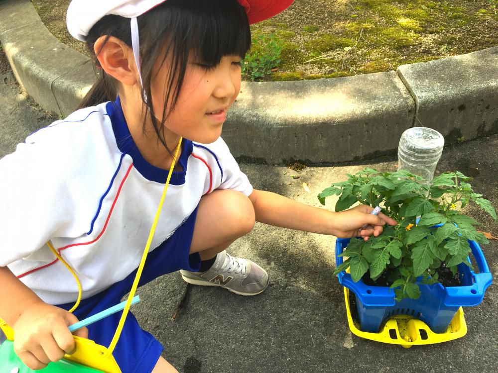 実が出ていたよ