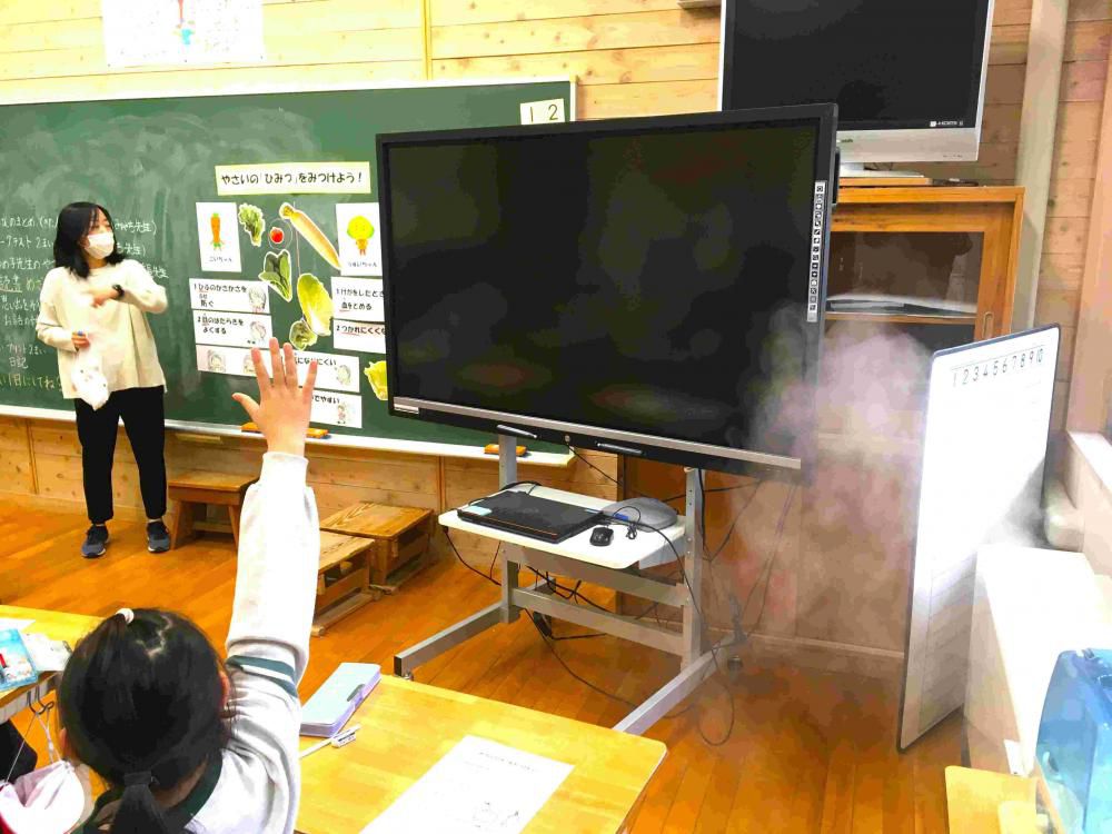 やさいのひみつ