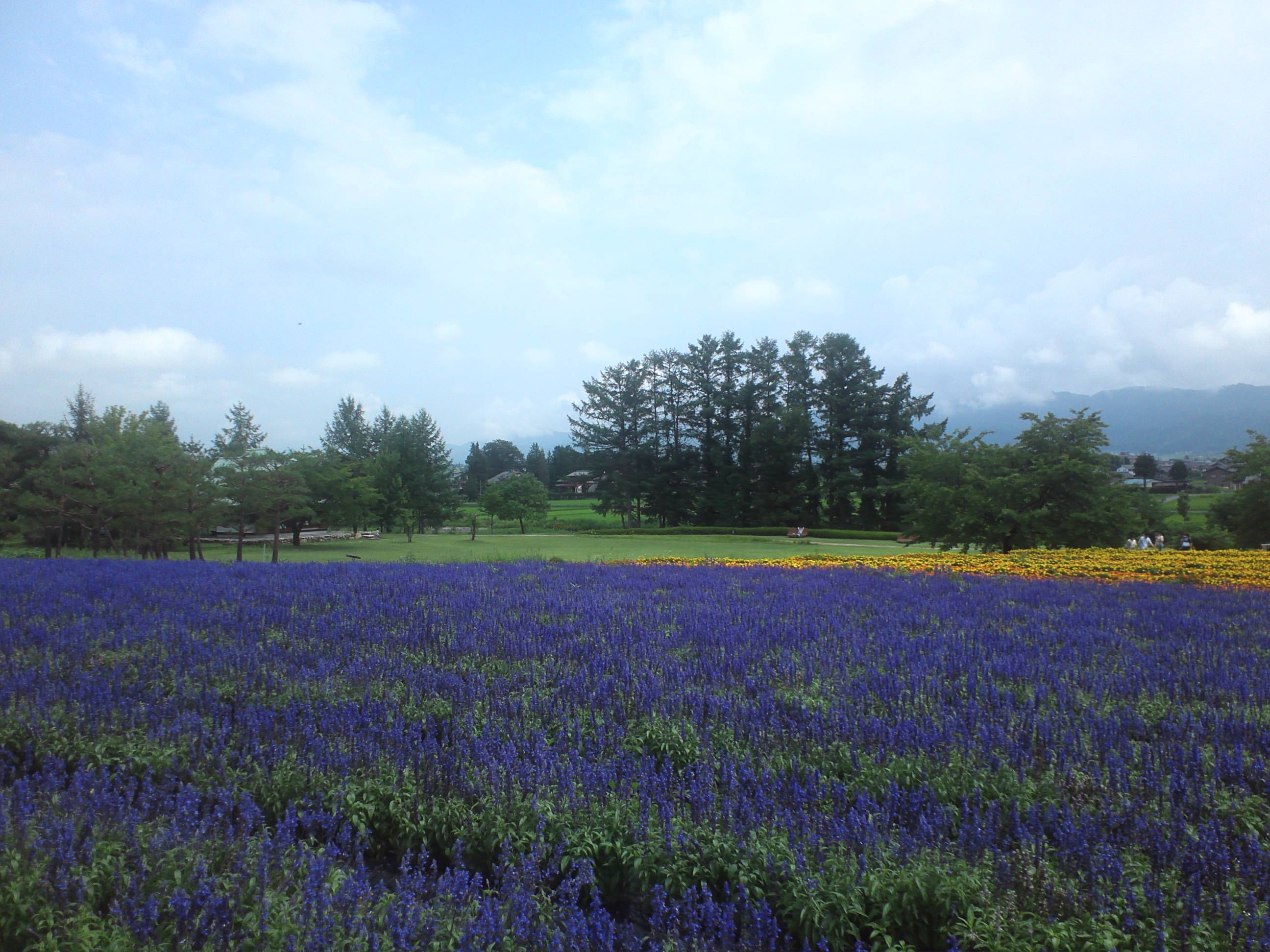 安曇野ちひろ美術館