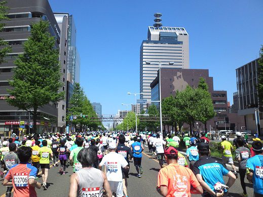 今年も、青葉薫る街を駆け抜けました