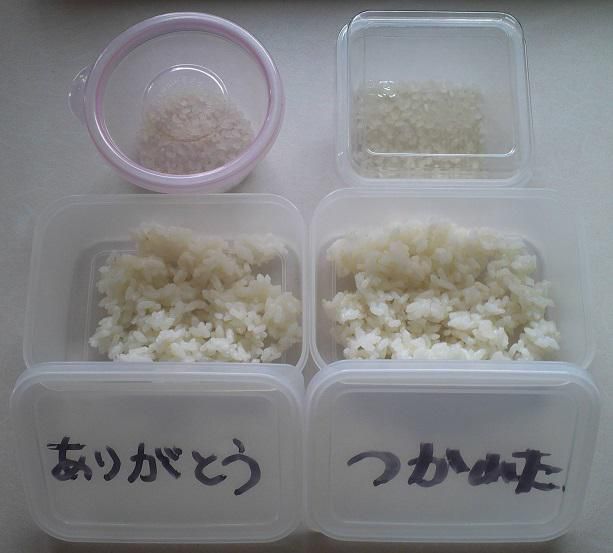 「ありがとうご飯」と「疲れたご飯」の実験