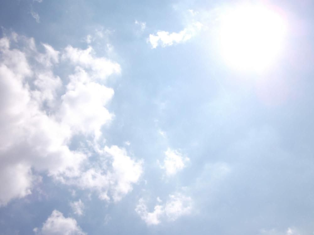 ８月の営業に関して