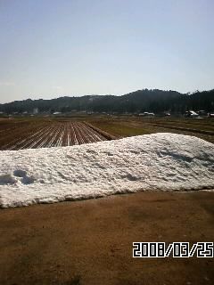 残雪