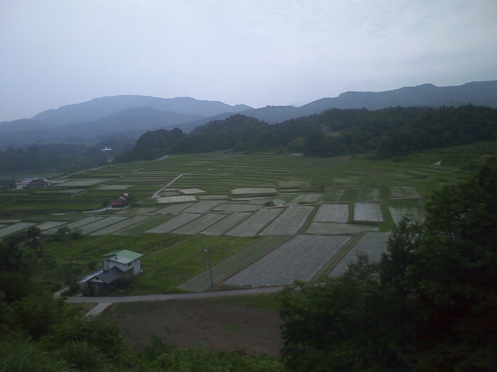 朝日町の棚田