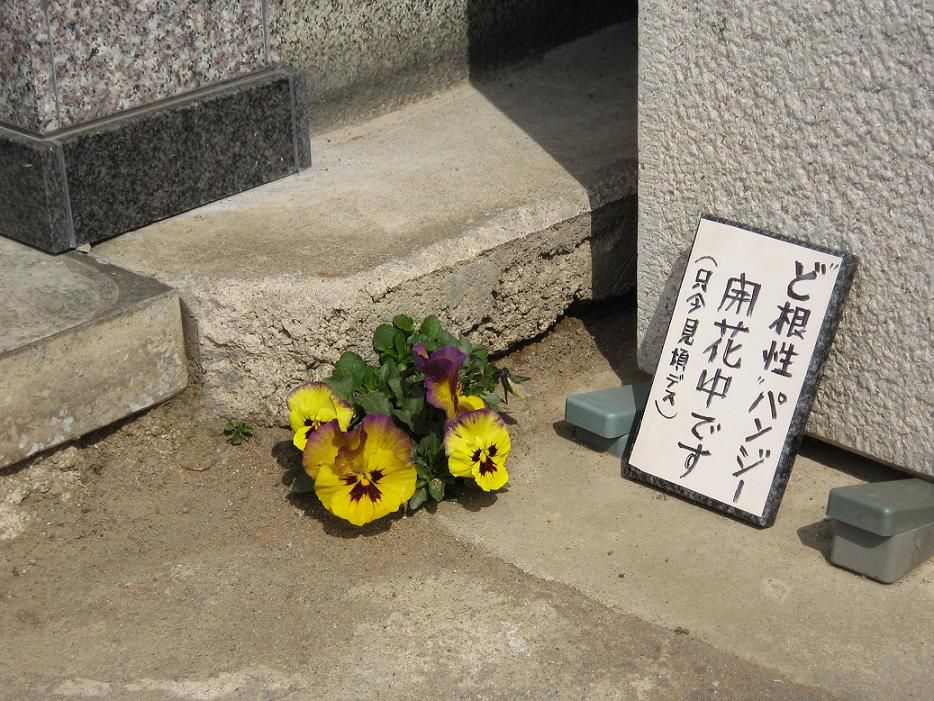 ど根性○○