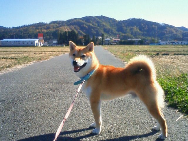 外は気持ちいいお天気。